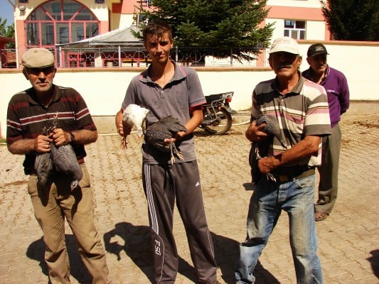 Foto4