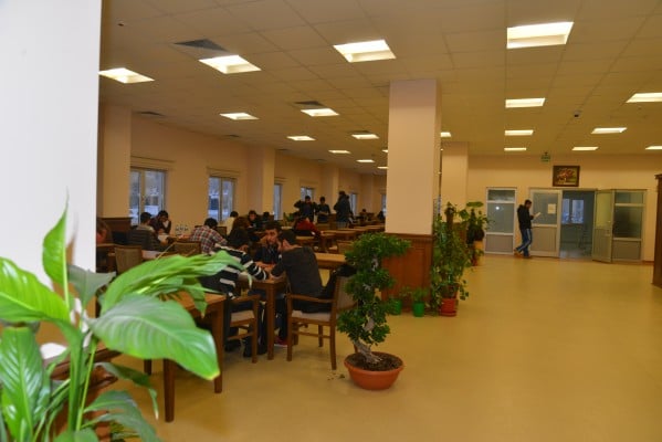 DSC_8704 (1)