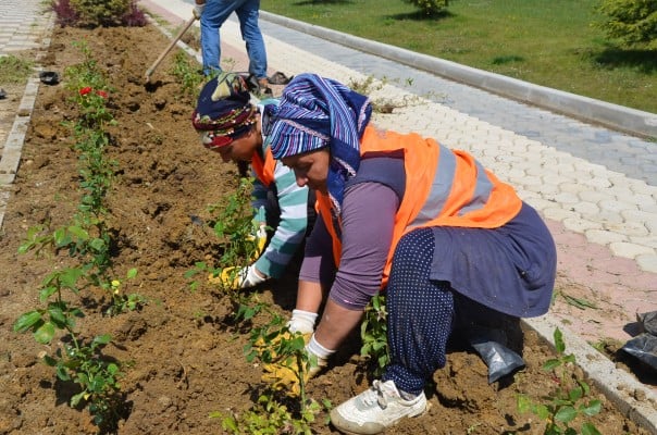 Park Bahçeler Bakım ve Çiçek 1