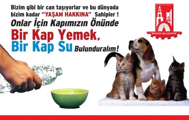 bir kapsu