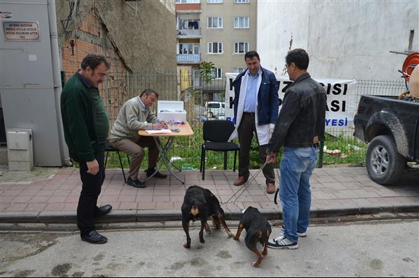 Köpeklere Kuduz Aşısı 2016 7