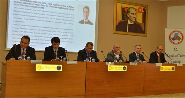 Panel