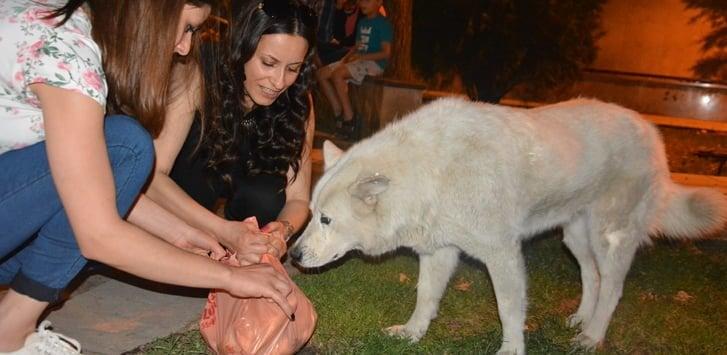 bilecik chp iftar (1)