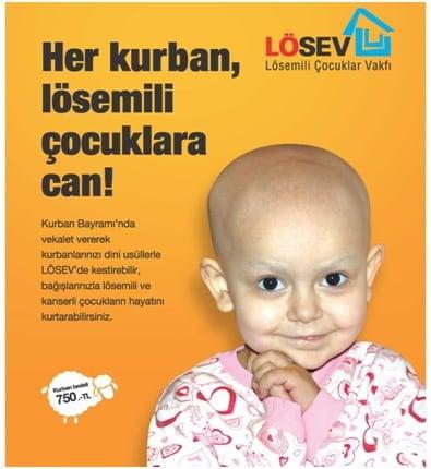 lösev222