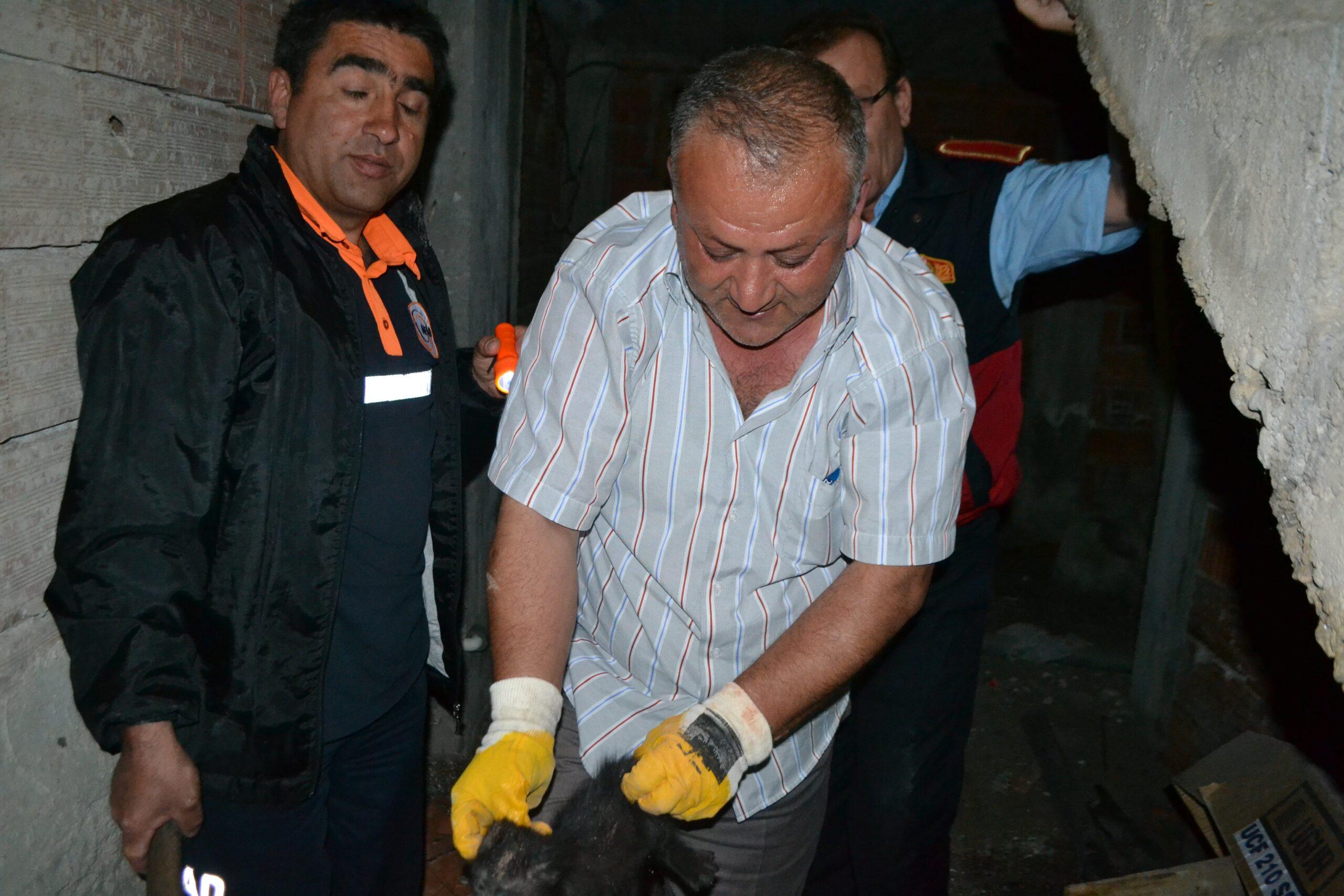 BİLECİK BELEDİYESİ VE AFAD’IN BAŞARILI KEDİ OPERASYONU