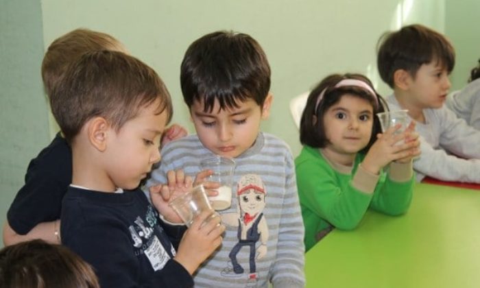 Tohumlar Minik Ellerde Canlanıyor