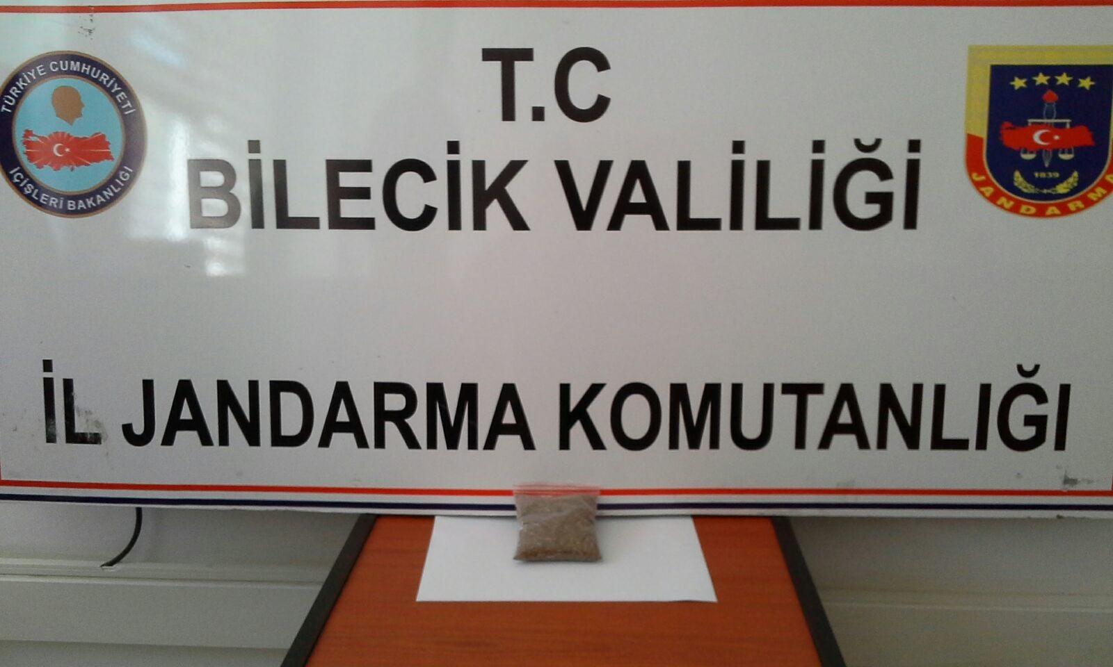 Bilecik’te 32.55 gram bonzai ele geçirildi.