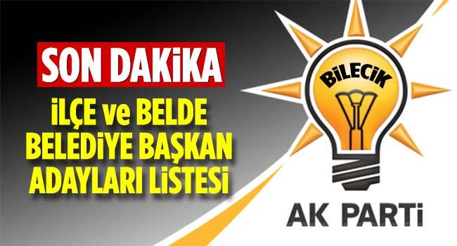 ak parti bilecik ilce ve belde belediye baskan adaylari
