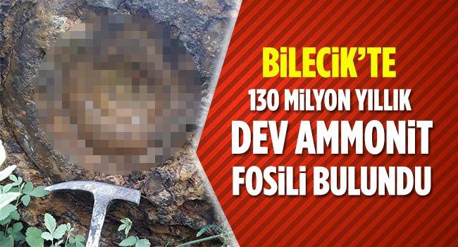 bilecik 130 milyon yillik dev ammonit fosili bulundu