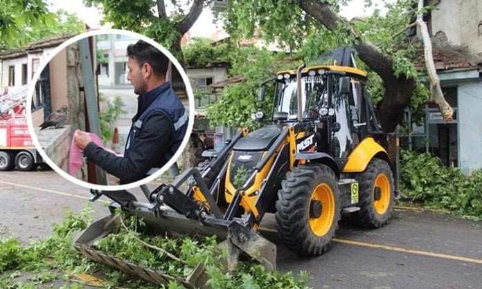 Bilecik- Golpazarı ve Tozman Köyünü Kuvvetli Yağış Vurdu Bilecik- Golpazarı ve Tozman Köyünü Kuvvetli Yağış Vurdu
