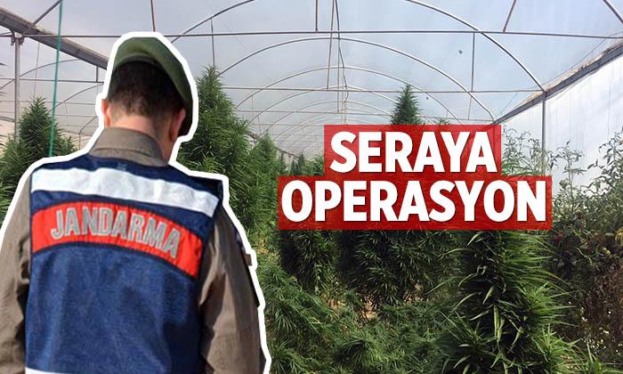 Bilecik’te Seraya Uyuşturucu Operasyonu