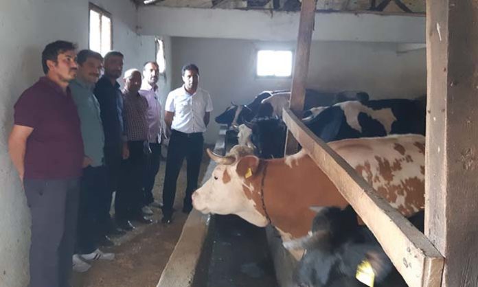 Büyükbaş Hayvancılıkta Yeni Proje-2 Büyükbaş Hayvancılıkta Yeni Proje-2