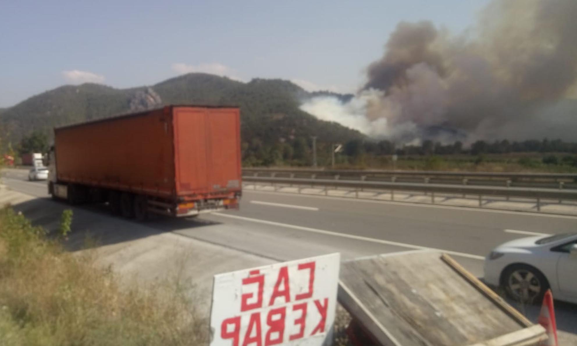 Osmaneli'de Orman Yangını-7