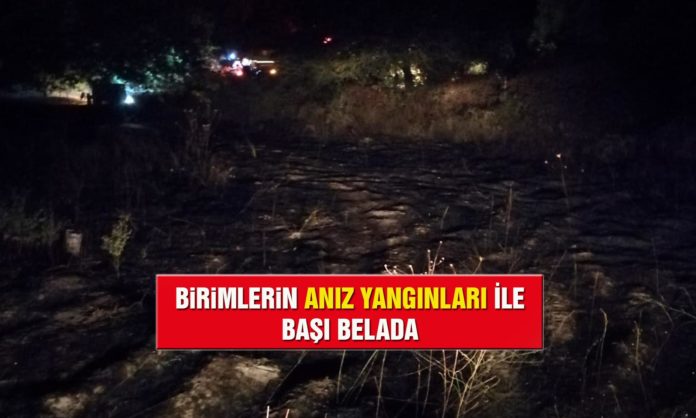 Birimler Anız Yangınlarından Kafasını Kaldıramaz Oldu Birimler Anız Yangınlarından Kafasını Kaldıramaz Oldu
