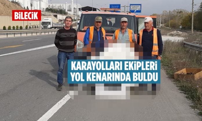 bilecikte-karayollari-ekipleri-yol-kenarında-buldu