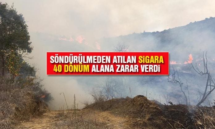 Yeniköy'ün Sarıyer Mevkisinde Yangın-5 Yeniköy'ün Sarıyer Mevkisinde Yangın-5