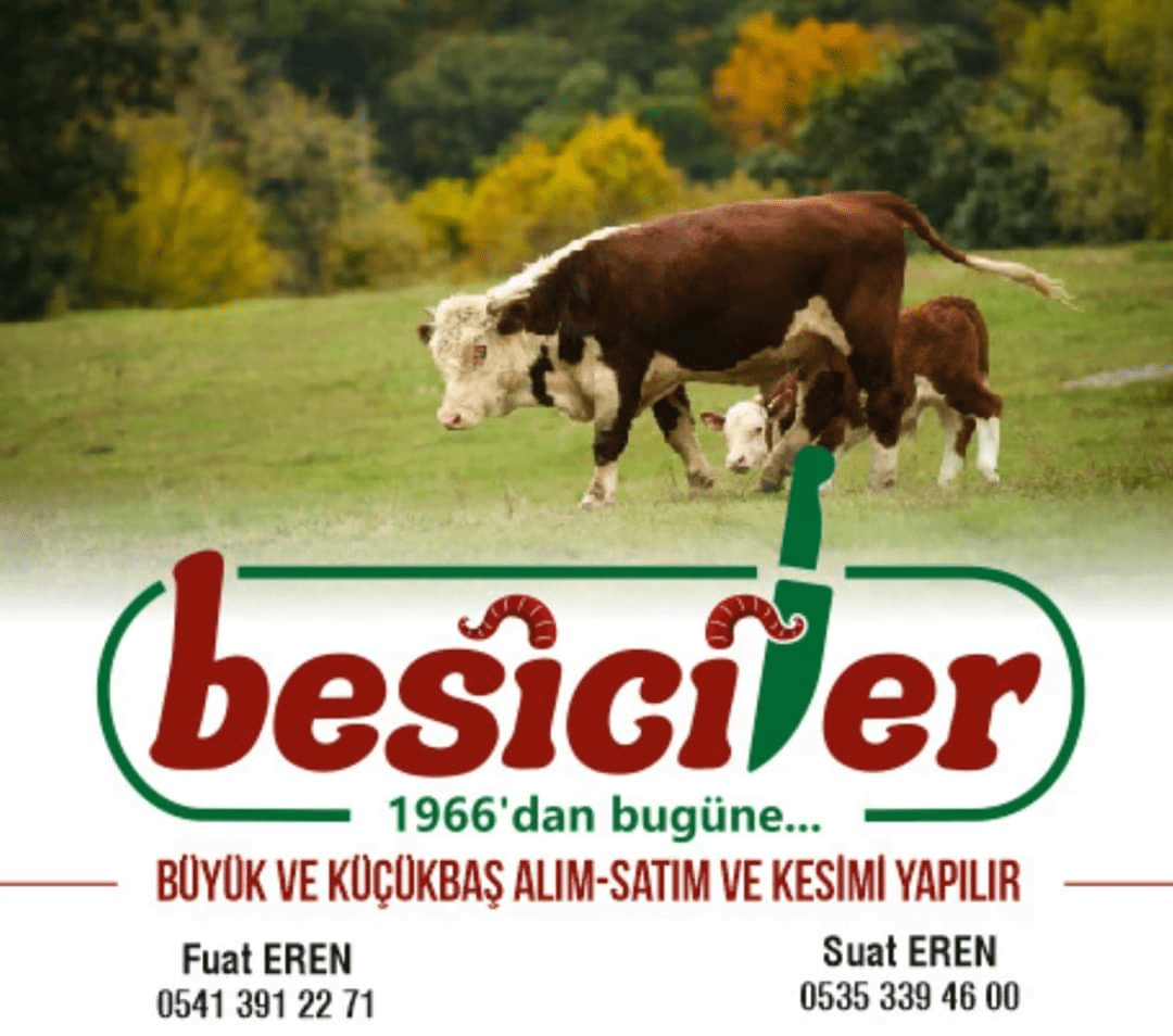 besiciler lt sti