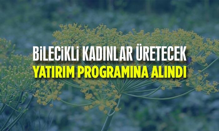 Yatırım Programına Alındı Bilecikli Kadınlar Üretecek