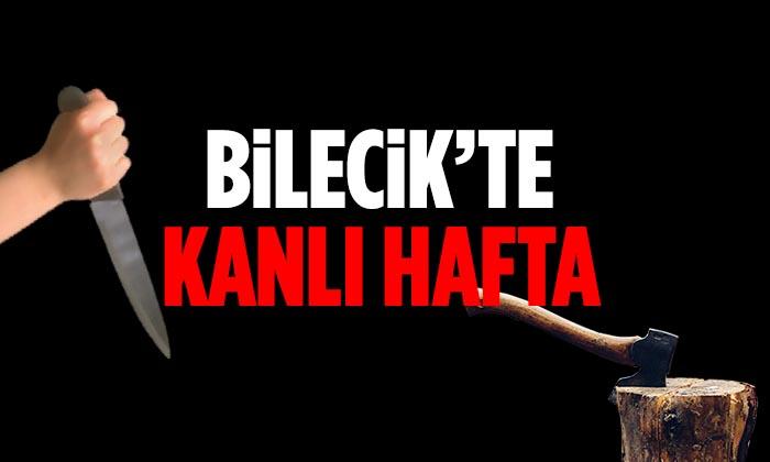 Bilecik’te Kanlı Hafta Sonu