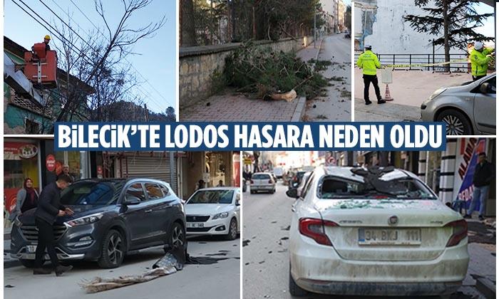 Bilecik’te Lodos Hasara Neden Oldu