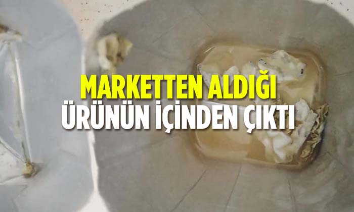 Marketten Aldığı Ürünün İçinden Çıktı