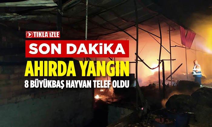 Dombaçayır Mevkisindeki Ahırda Yangın Çıktı