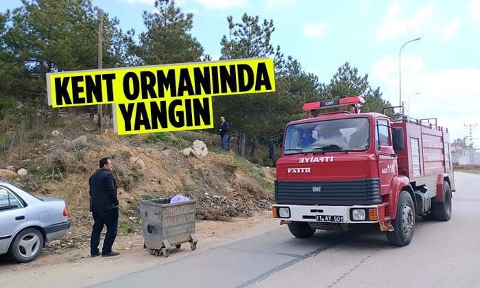 Bilecik Kent Ormanında Yangın
