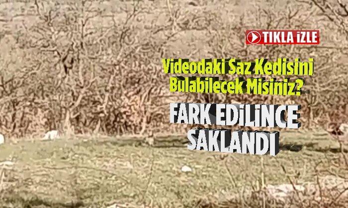 Fark Edilince Saklandı