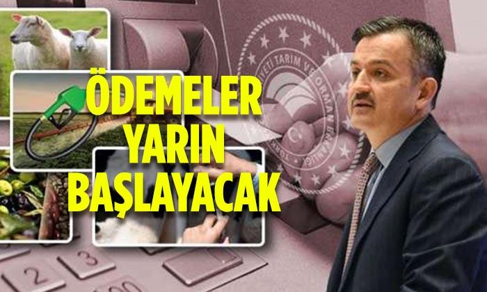 Üreticilere 1 Milyar 987 Milyon Liralık Destek Ödemesi Yarın Başlıyor