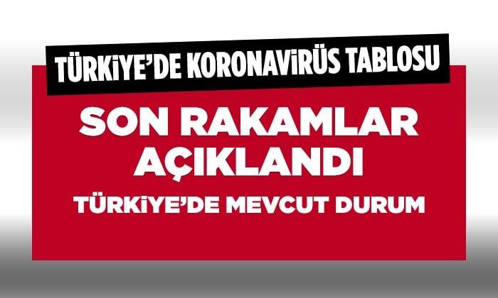 Türkiye Genel Koronavirüs Tablosu