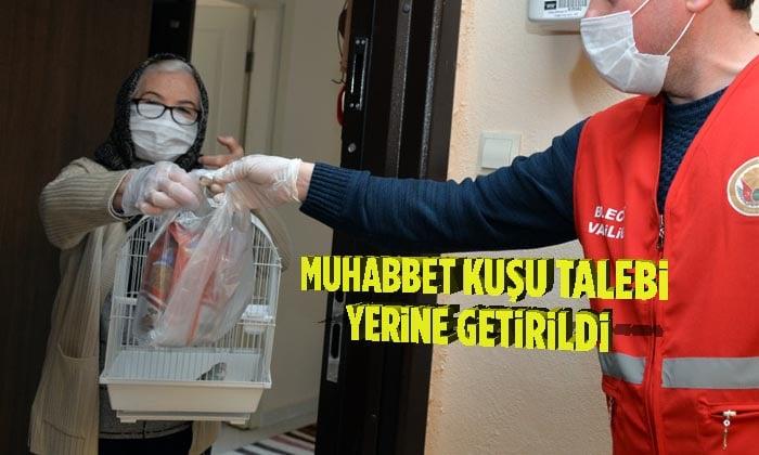 Muhabbet Kuşu Talebi Yerine Getirildi