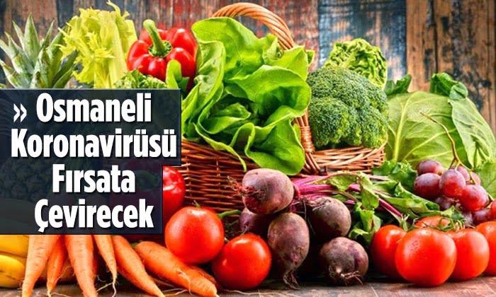 Bilecik, Osmaneli Koronavirüsü Fırsata Çevirecek