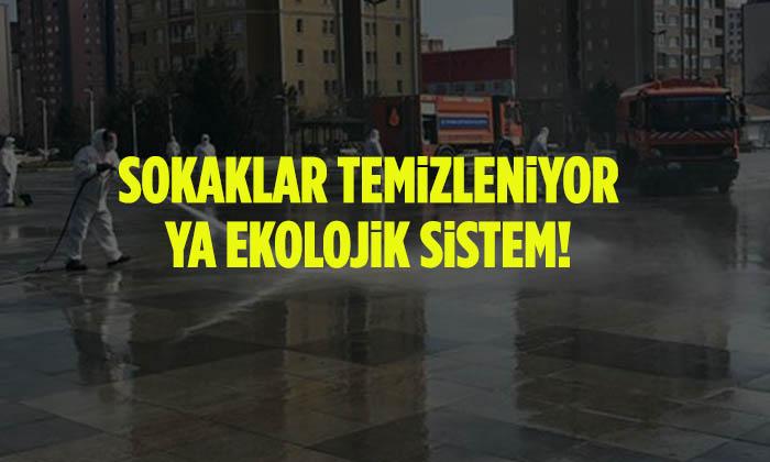 sokaklar-temizleniyor-ya-ekolojik-sistem