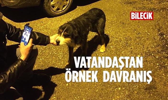 Vatandaştan Örnek Davranış
