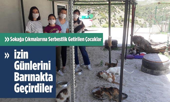 İzinlerini Barınakta Geçirdiler