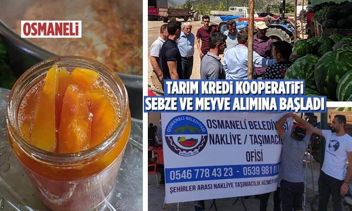 Osmaneli Halinden Sebze Meyve Alımına Başladı