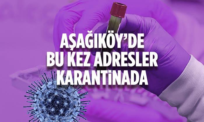Aşağıköyde Yine Karantina