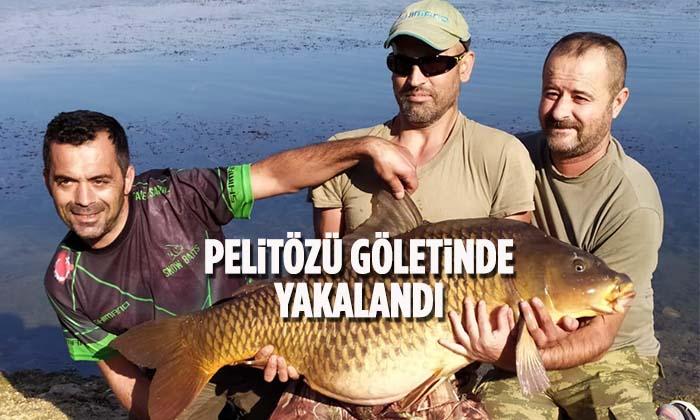 Bilecik Pelitözü Göletinde Yakalandı