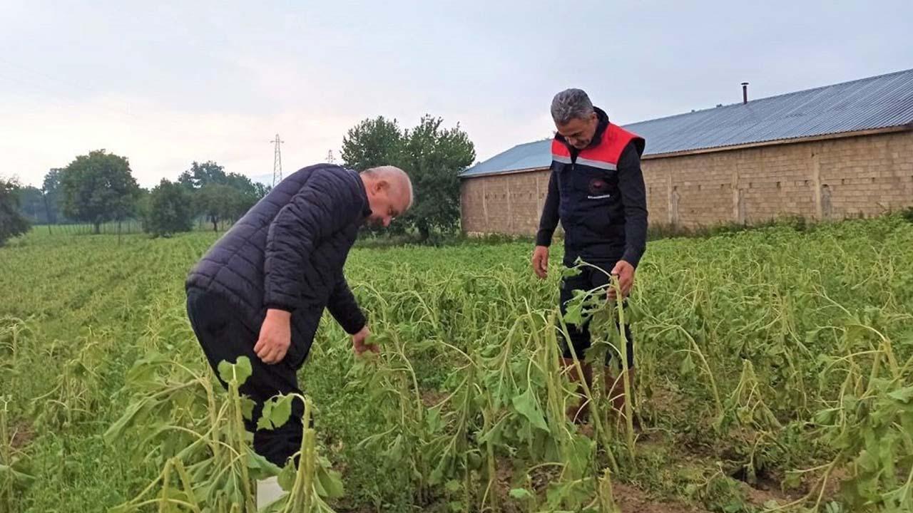 pazaryeri-golpazari-ve-sogutte-hasar-tespit-calismasi-yapildi1