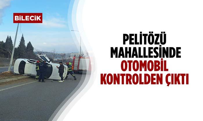 Pelitözü Mahallesinde Araç Direğe Çarptı