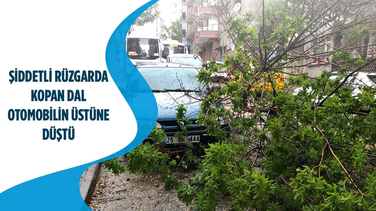 Şiddetli Rüzgarda Kopan Dal Otomobilin Üstüne Düştü