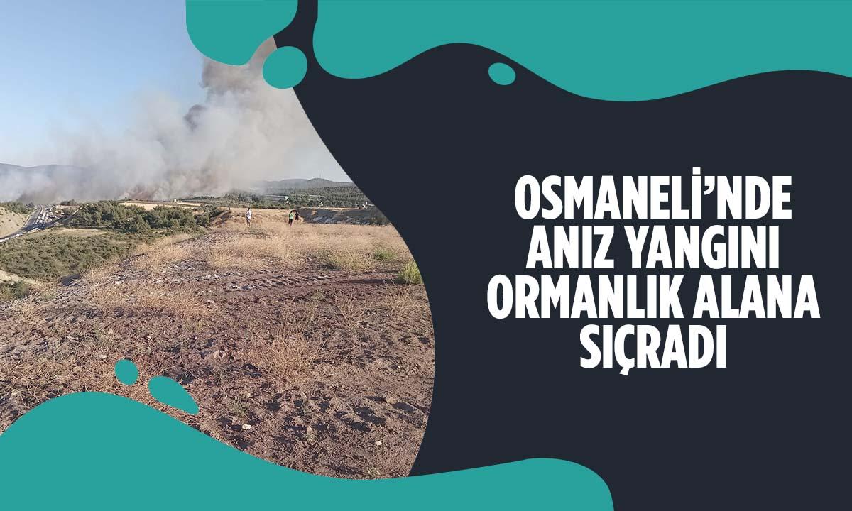 Osmaneli’nde Anız Yangını Ormanlık Alana Sıçradı