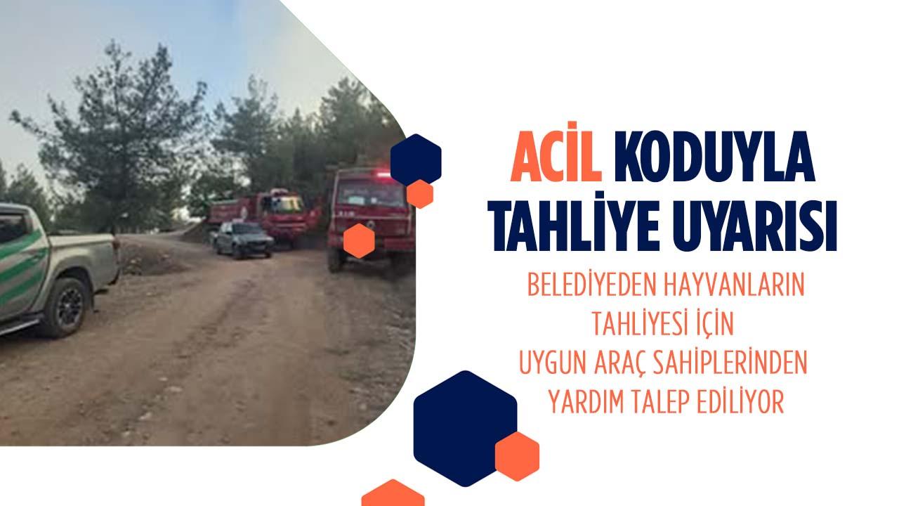 Yangın Sebebiyle Köyler Tahliye Ediliyor