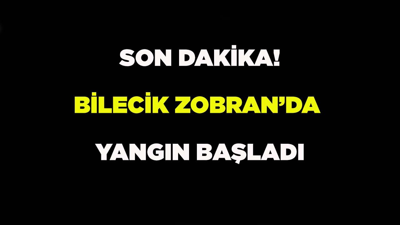Bilecik Zobran’da Yangın Başladı