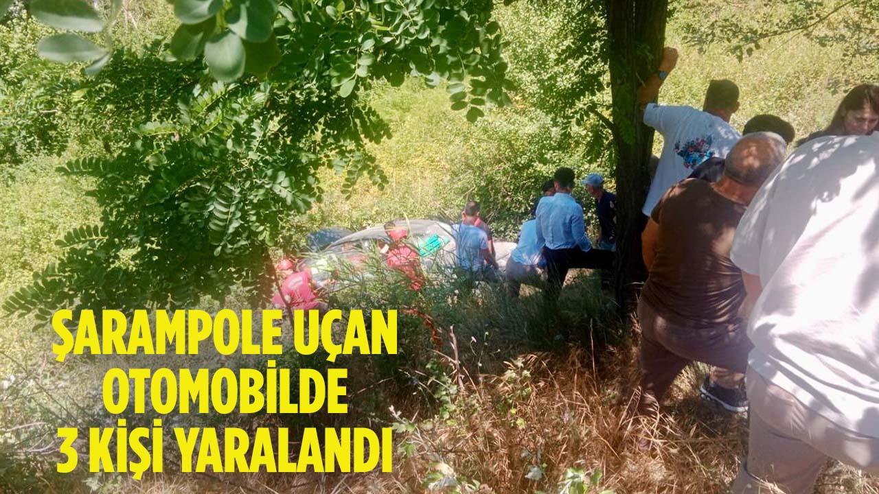 Bilecik’te Otomobil Şarampole Uçtu