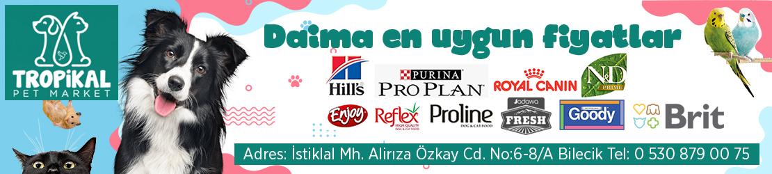 bilecik pet market