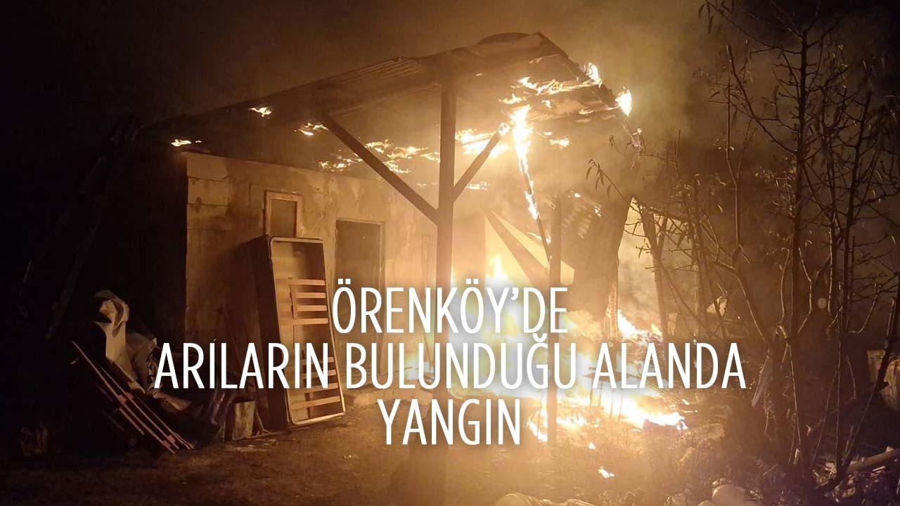 Bilecik’te Arı Kovanlarının Bulunduğu Alanda Yangın