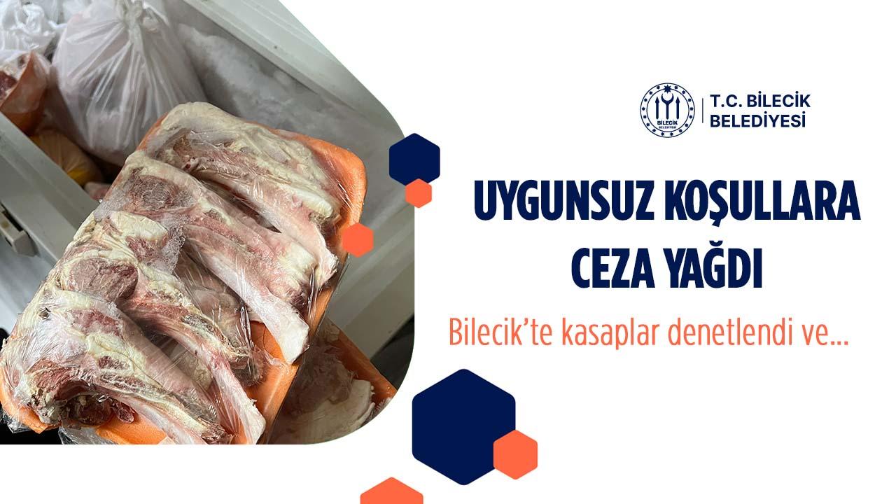 Bilecik’te Uygunsuz Koşullara Ceza Yağdı