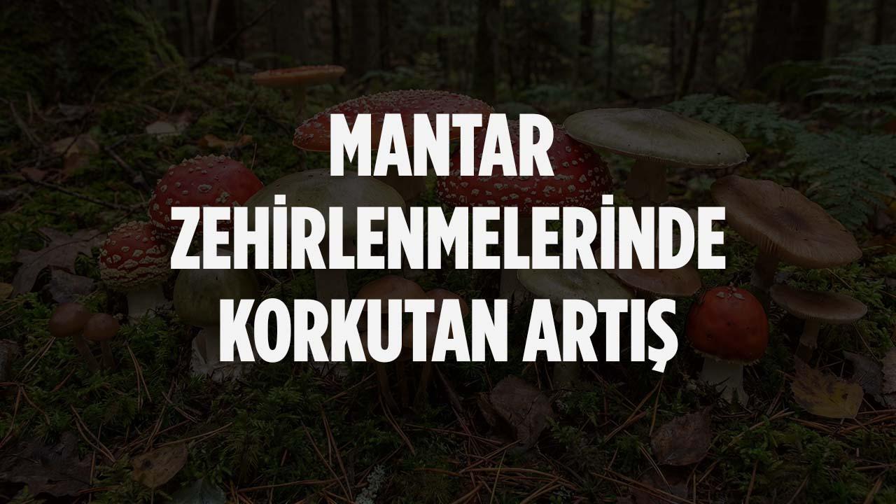 Mantar Zehirlenmelerinde Korkutan Artış!