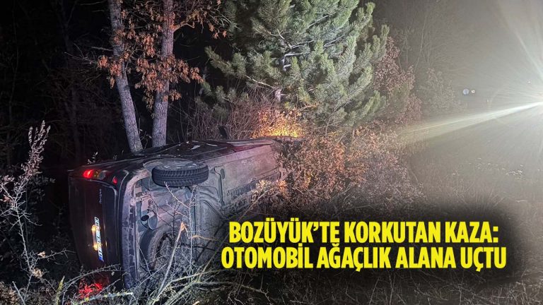 Bozüyük’te Kaza: Otomobil Ağaçlık Alana Uçtu